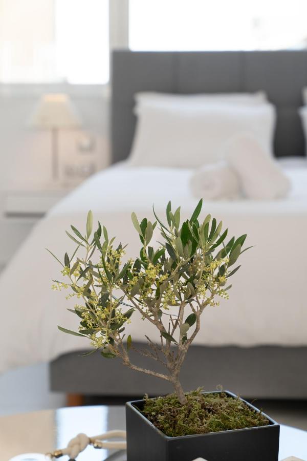 Olvar Apartment *